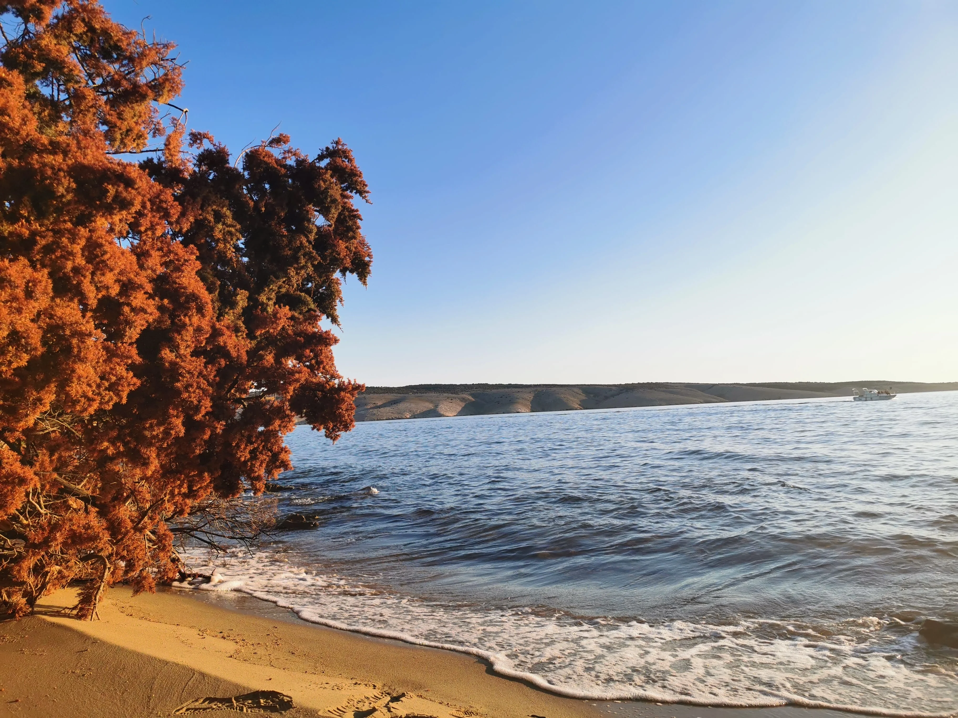 Sandy beach in Lopar, island Rab, Croatia